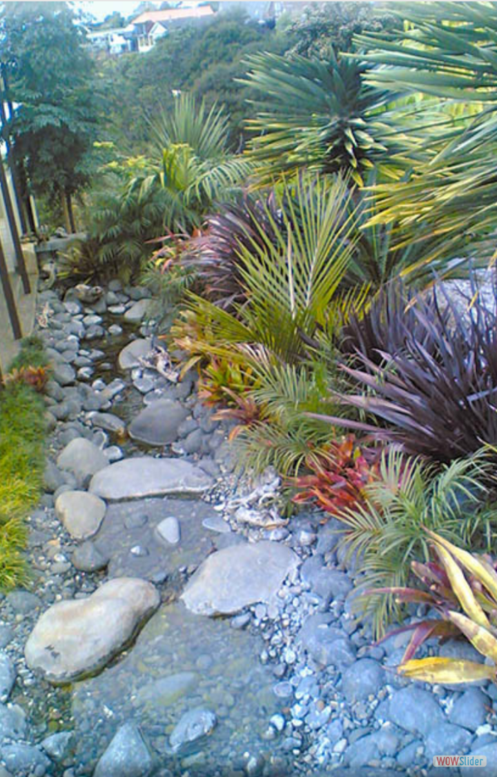 Whangaparaoa garden 1